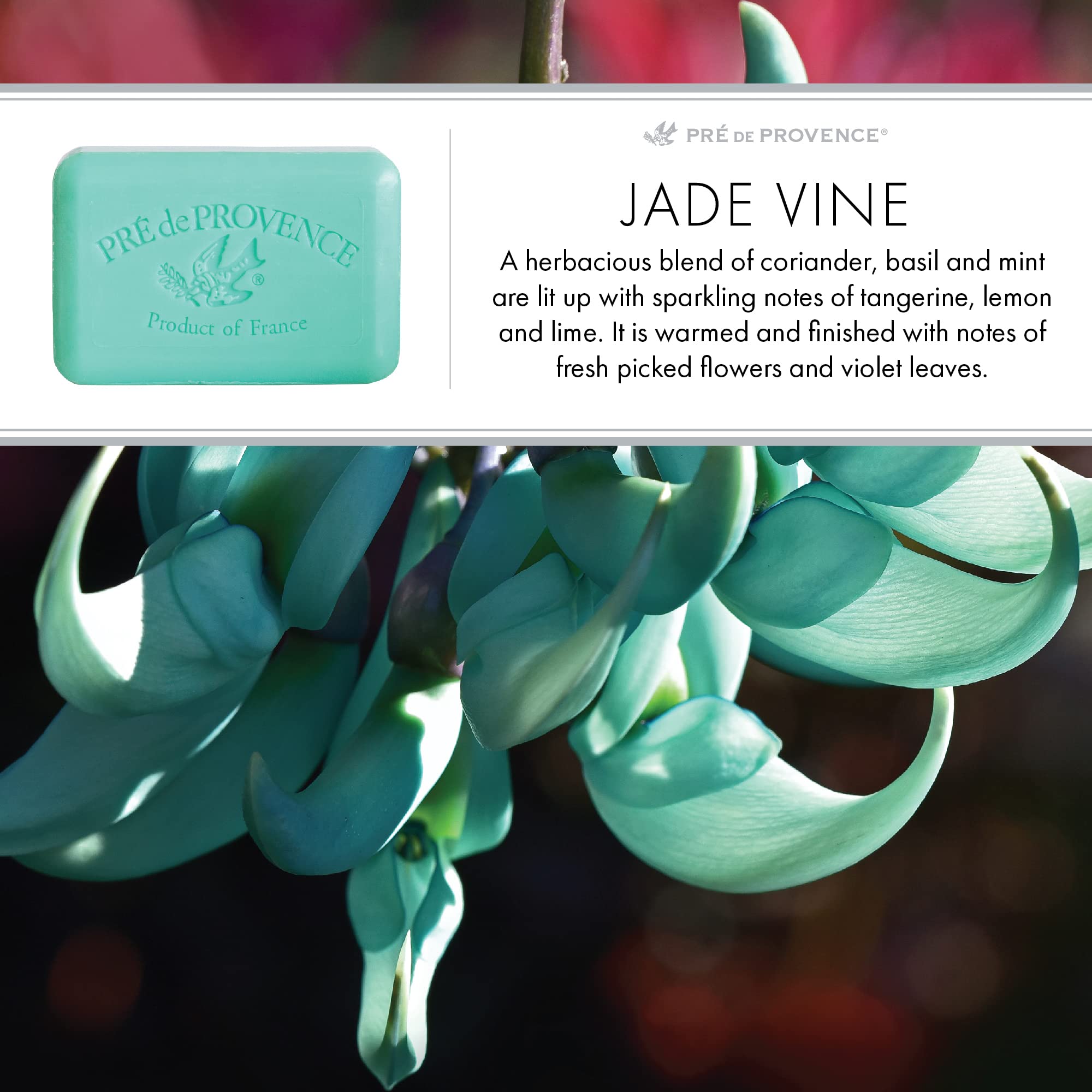 Pre de Provence Artisanal French Soap Bar Enriched With Shea Butter, Jade Vine, 150 Gram (6012)